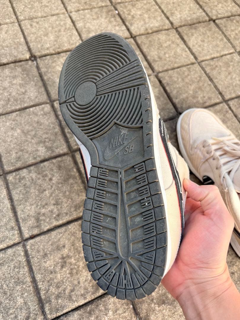 Albino & Preto × Nike SB Dunk Low Pro QS