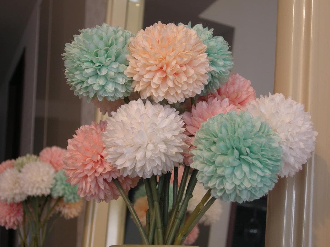 動作確認済 ニコン Nikon COOLPIX P5000 オールドコンデジ