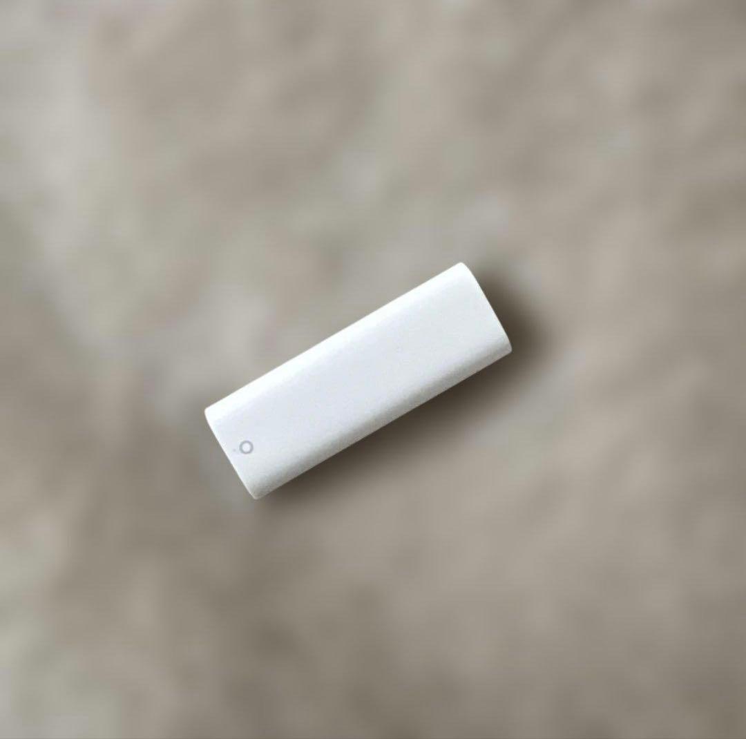 Apple Pencil 第1世代 純正ケース+C充電変換付セット