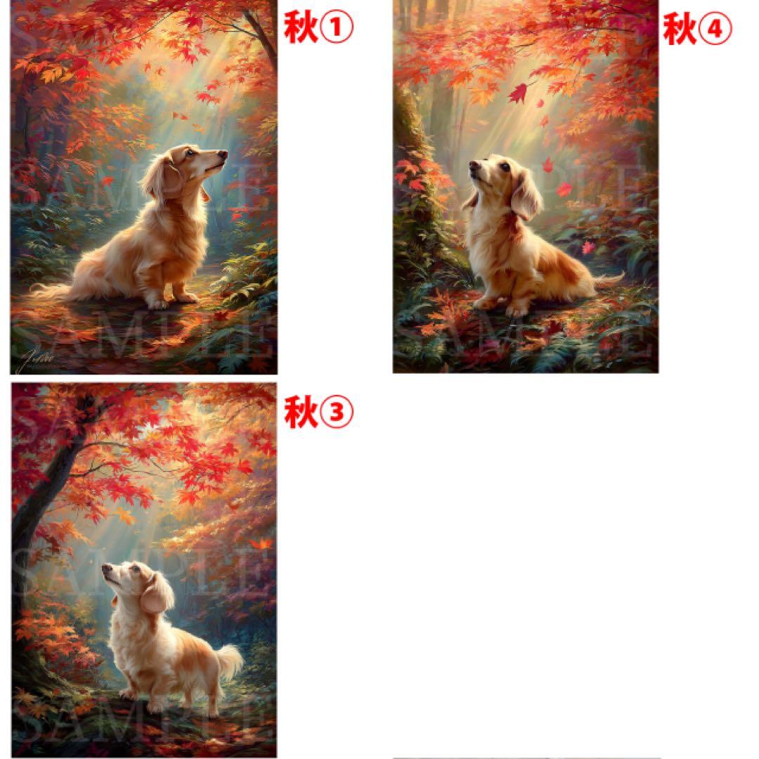 ハニチェリーナ リクエスト制作 ミニチュアダックスフンド A4サイズ33枚