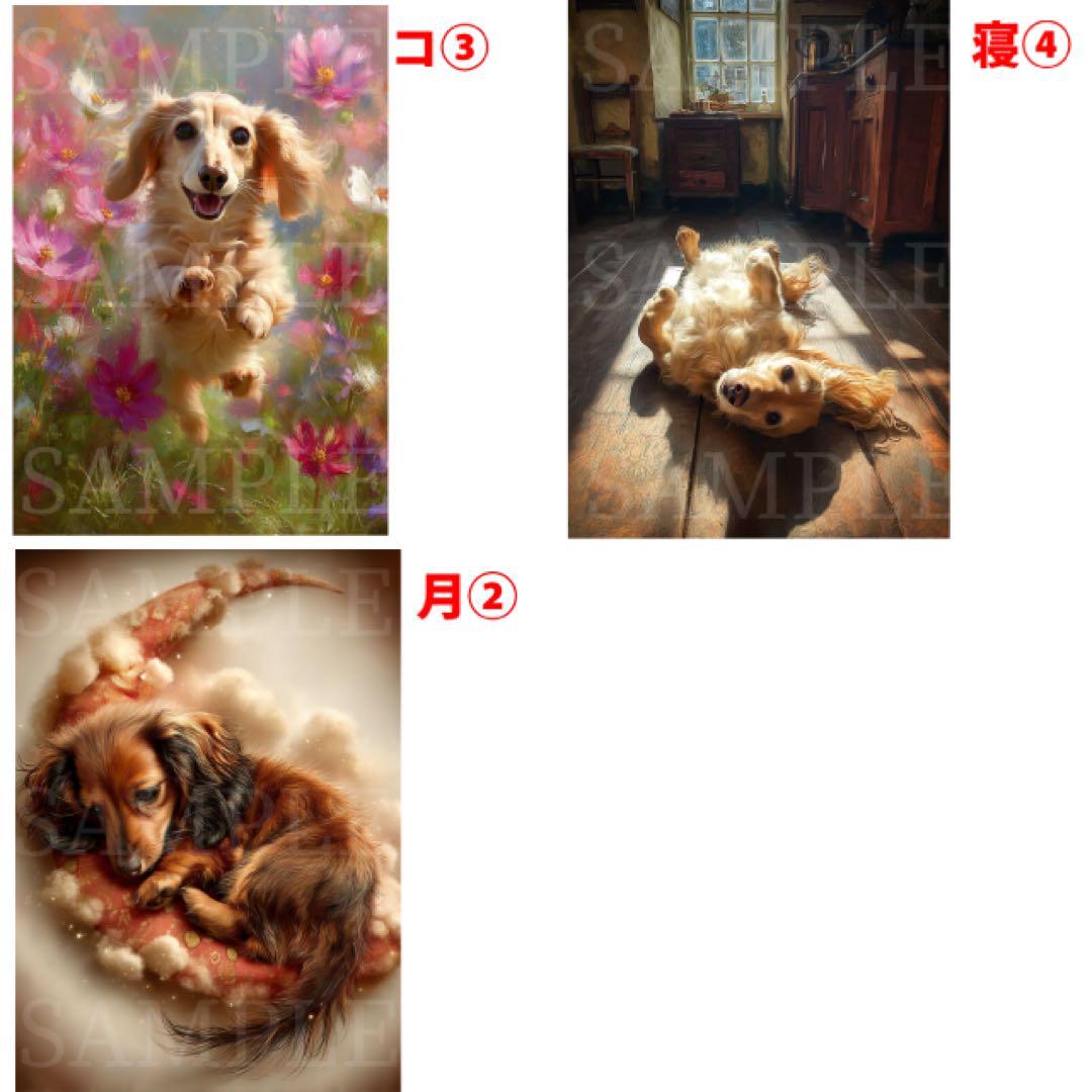 ハニチェリーナ リクエスト制作 ミニチュアダックスフンド A4サイズ33枚