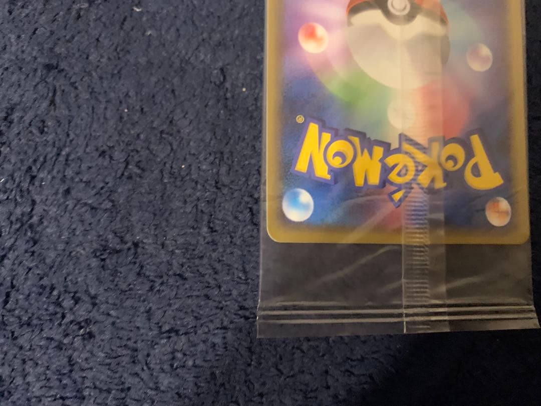 ポケパーク グラードン プロモ 042/PCG-P ポケモンカード 未開封