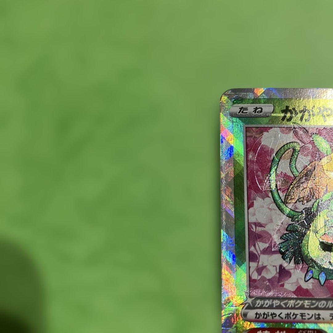 かがやくフシギバナ　加工ズレ　エラー　大ズレ　魂抜け