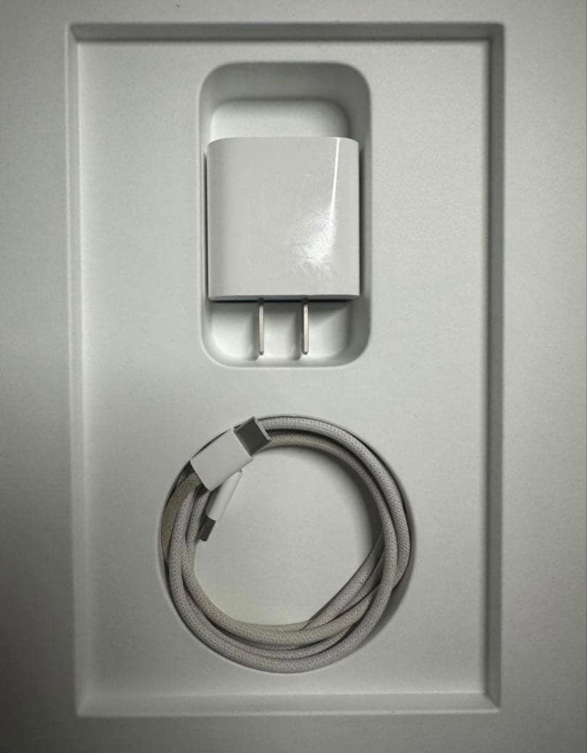 raraApple iPad 10.9インチ シルバー 本体