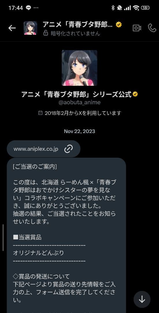 青春ブタ野郎 非売品 当選どんぶり 限定20 抽選品 公式 コラボ 食器