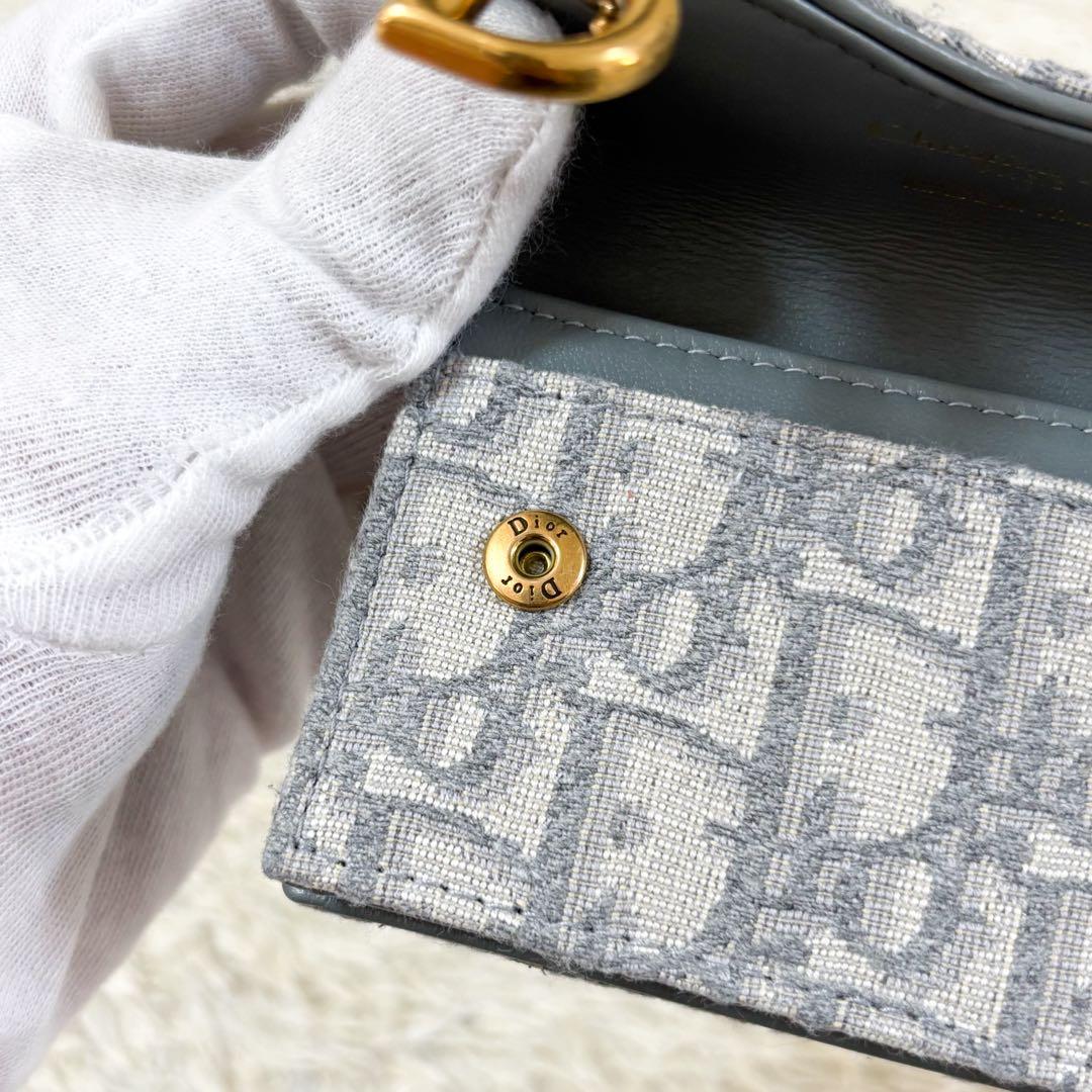 【未使用】クリスチャンディオール 名刺入れ オブリーク トロッター柄 サドル