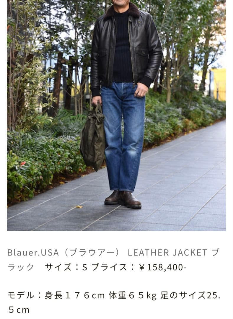 【ロックマン】ブラウアー