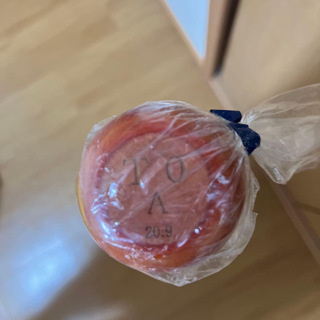 阪神タイガース　木浪聖也選手　未使用バット