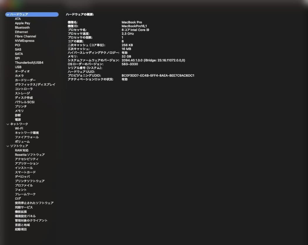 極上/充放電124回MacBook Pro 16 i9/32GB/SSD 2TB