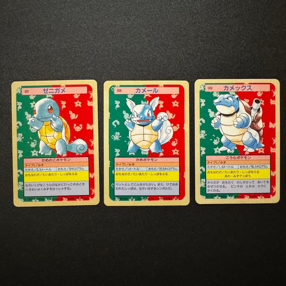 トップサン　ゼニガメ　カメール　カメックス　裏青