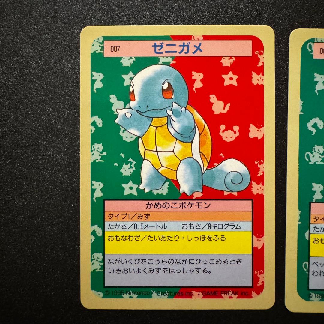 トップサン　ゼニガメ　カメール　カメックス　裏青