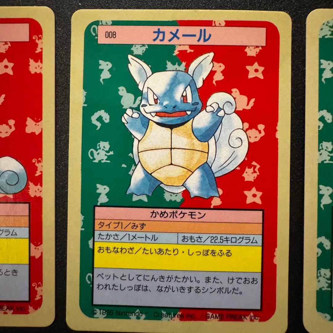 トップサン　ゼニガメ　カメール　カメックス　裏青