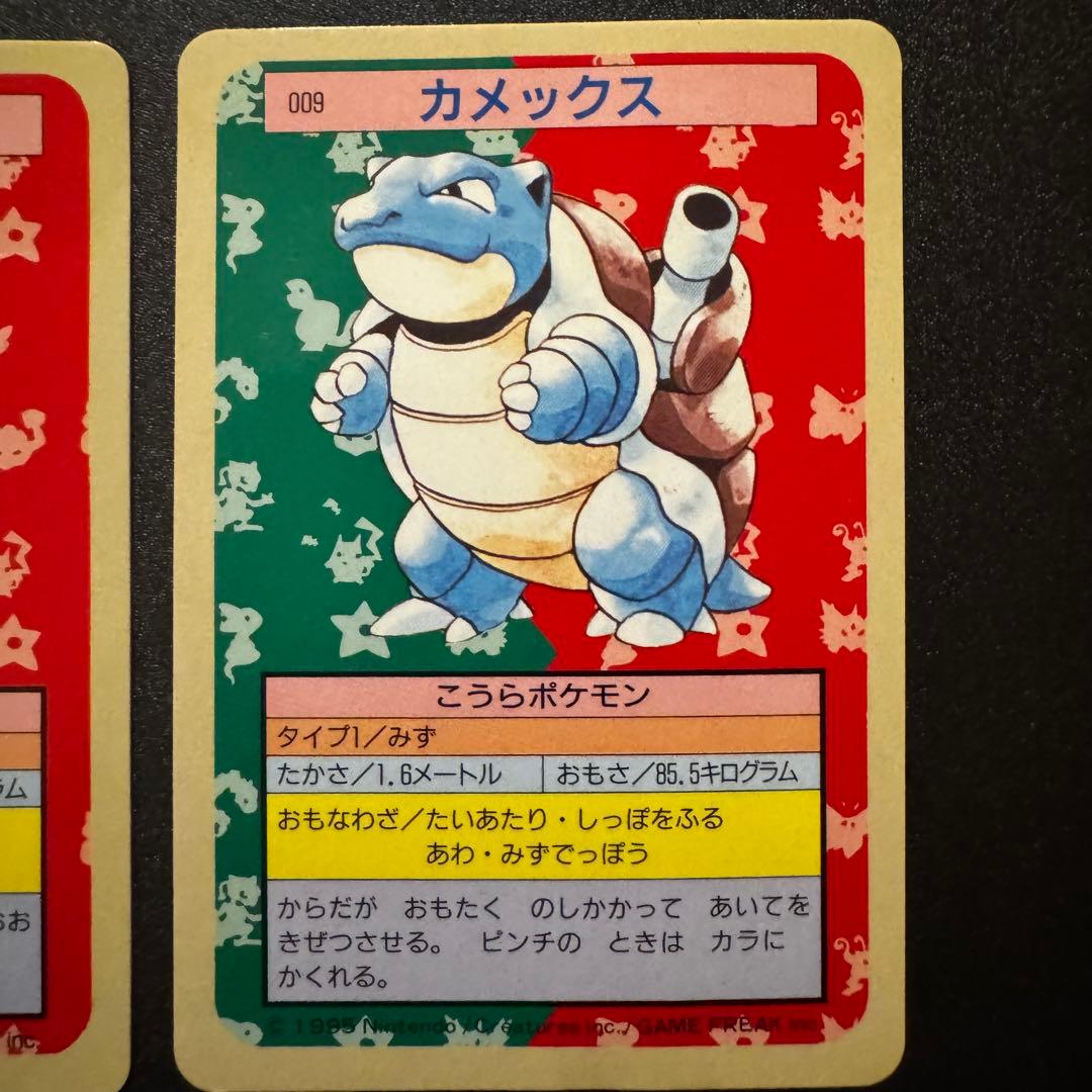 トップサン　ゼニガメ　カメール　カメックス　裏青