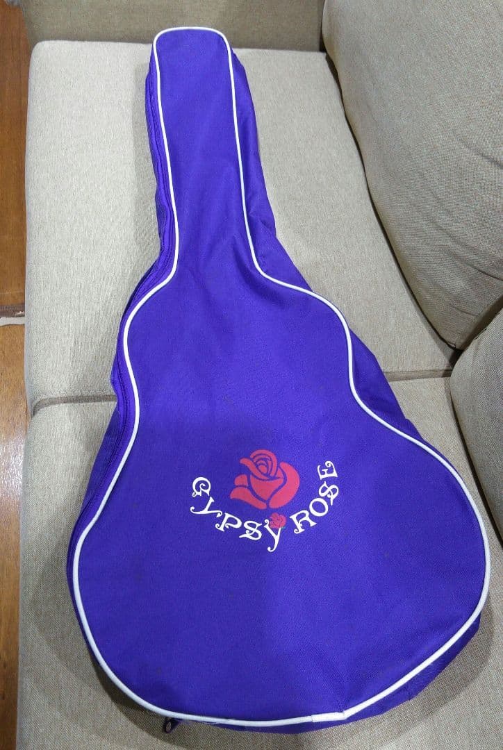 GYPSY ROSE 　ジプシーローズ　ギター　GRA1K/CPP　ケース付き