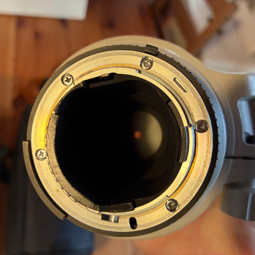 Nikon AF-S Nikkor 300mm f/4D (IF) Fマウント