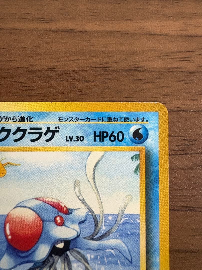 サザンアイランド　海　旧裏ポケモンカード　ポストカード付