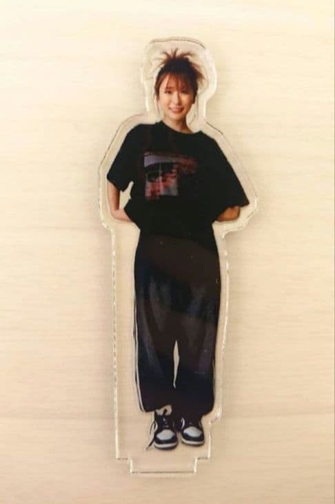 平成フラミンゴ　助け展【おまけ付】