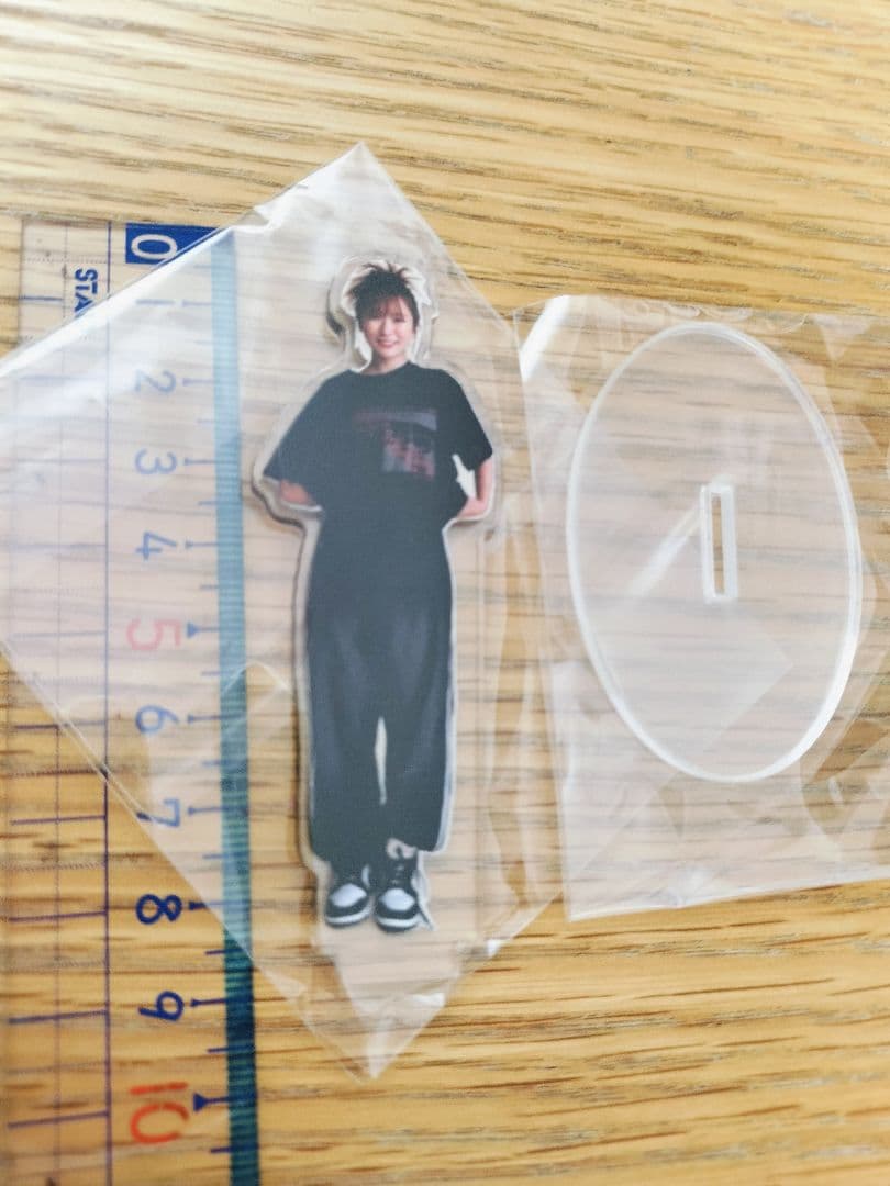 平成フラミンゴ　助け展【おまけ付】