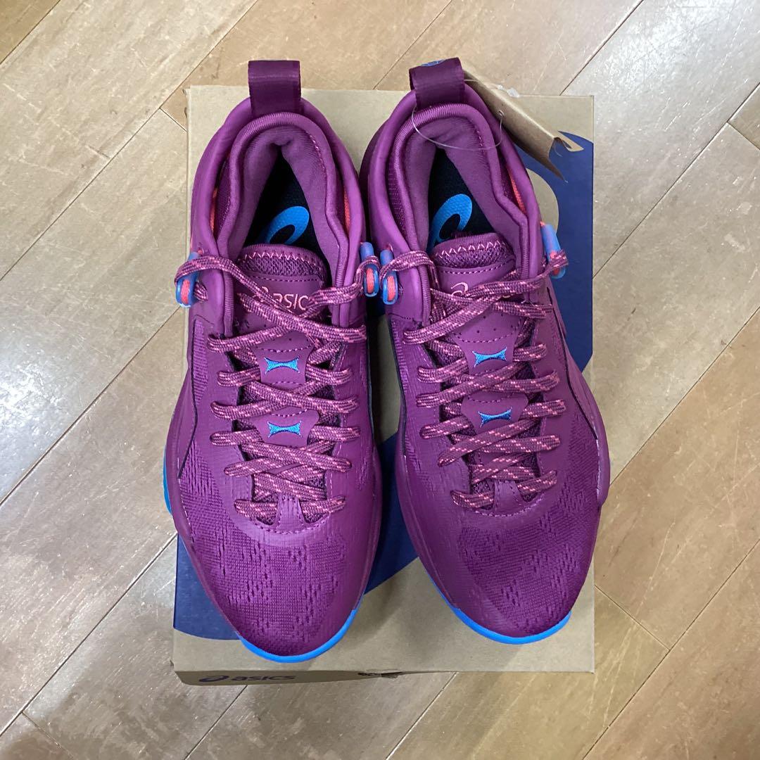 シューズ(男性用) NOVA SURGE LOW2 500 26.0cm