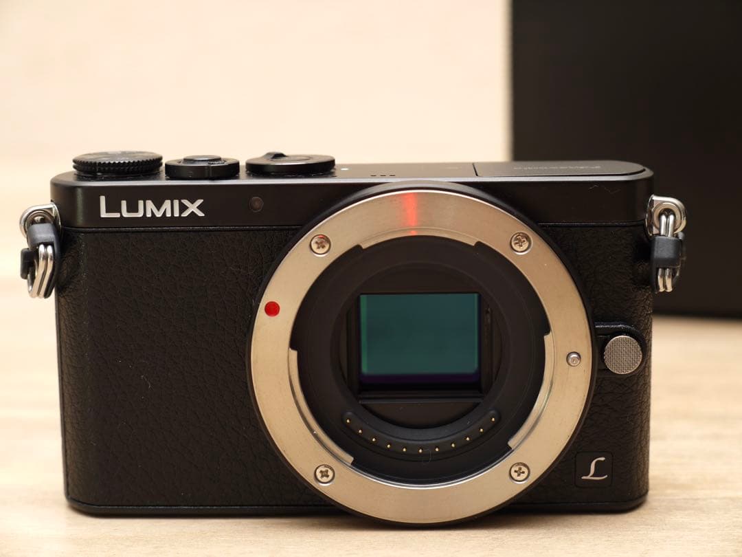 LUMIX gm1 ミラーレス一眼 ブラック