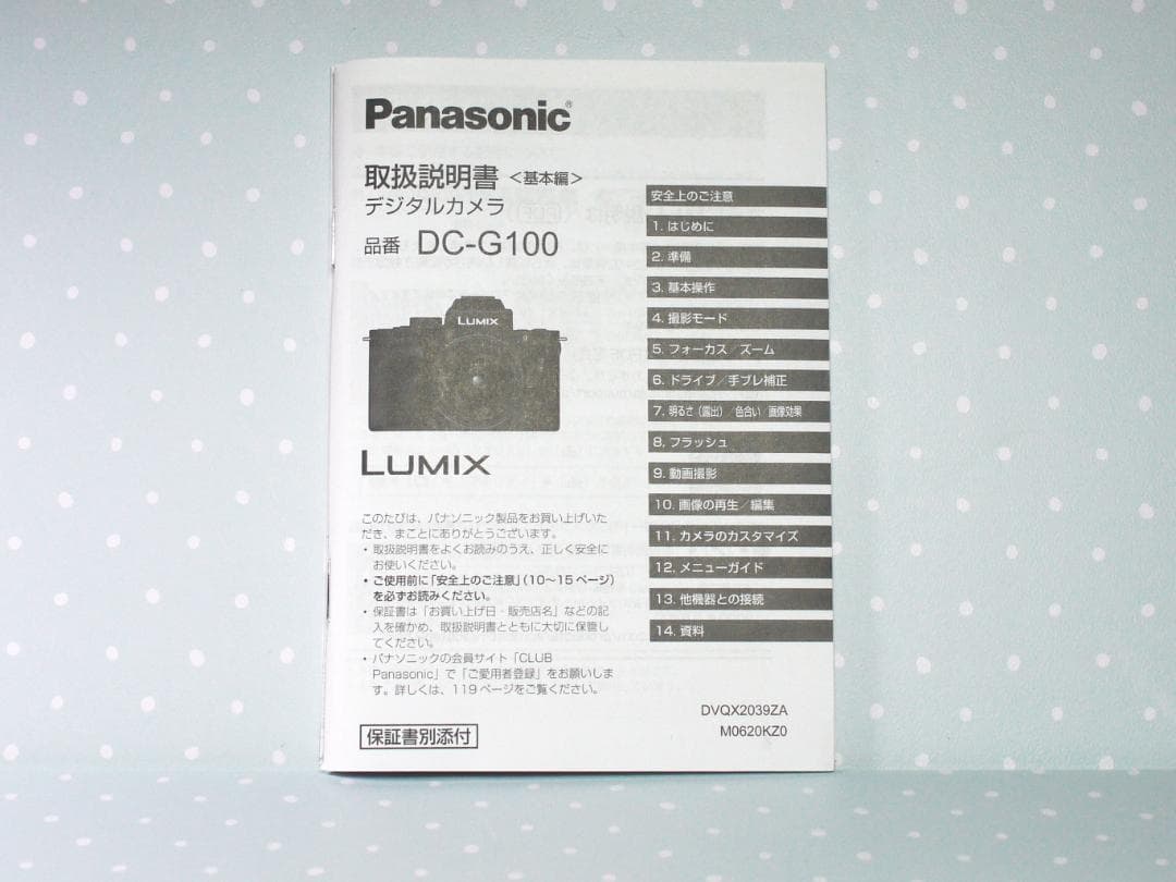 【美品】 LUMIX DC-G100