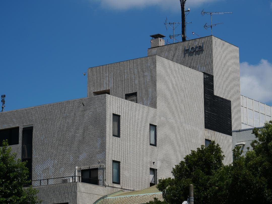 【美品】 LUMIX DC-G100