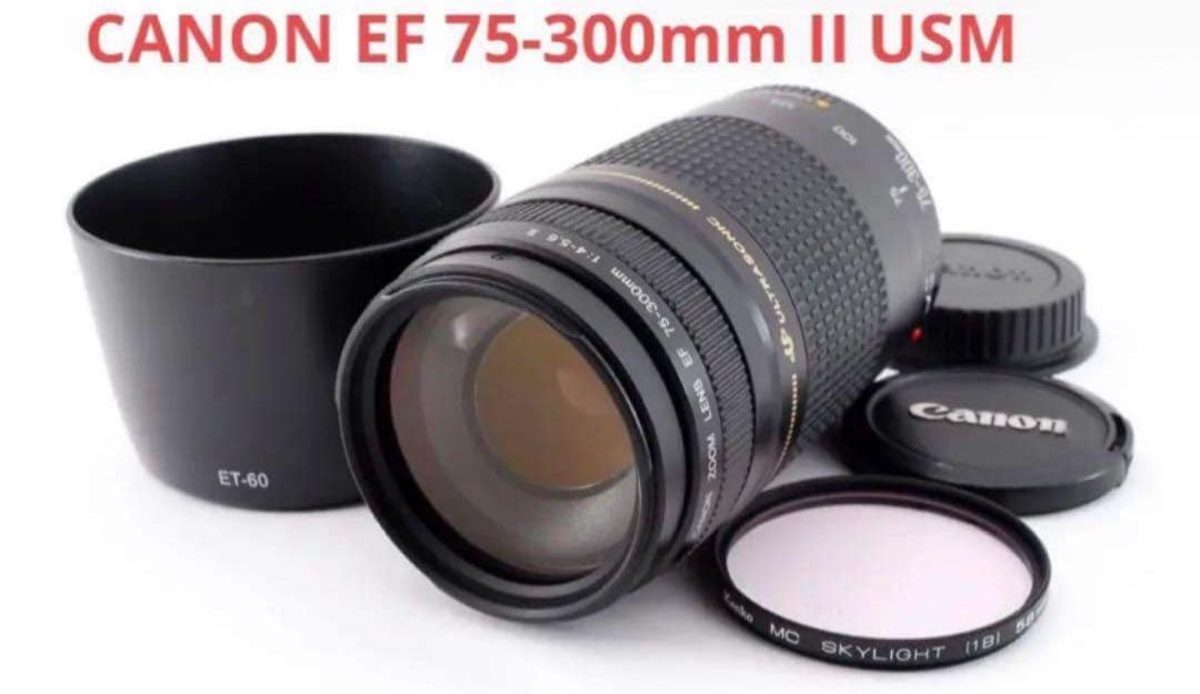 デジタル一眼レフカメラ/Canon EOS Kiss X10i超望遠レンズセット