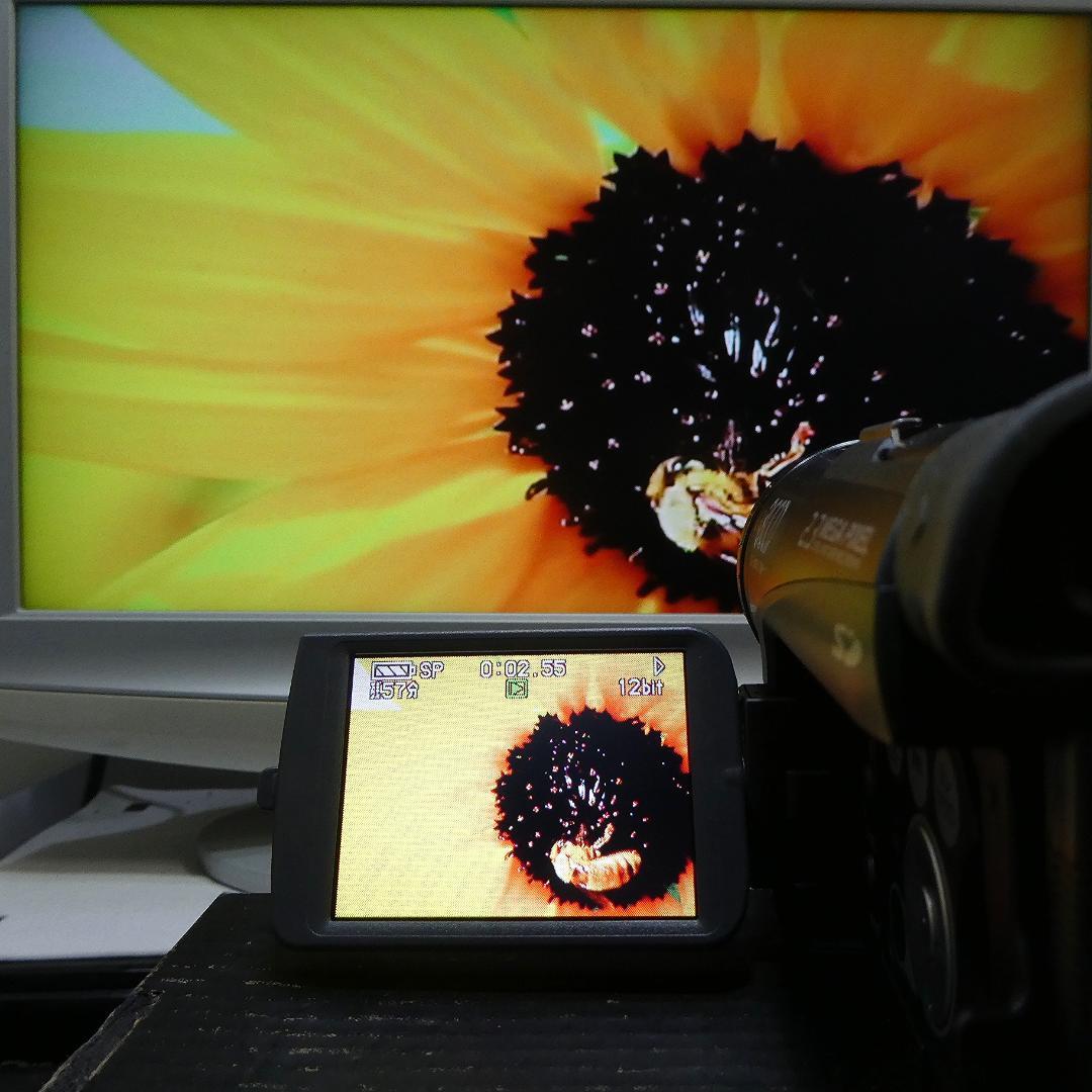 美品・動作良好 パナソニックNV-GS200 MiniDVビデオ　DVD化に最適