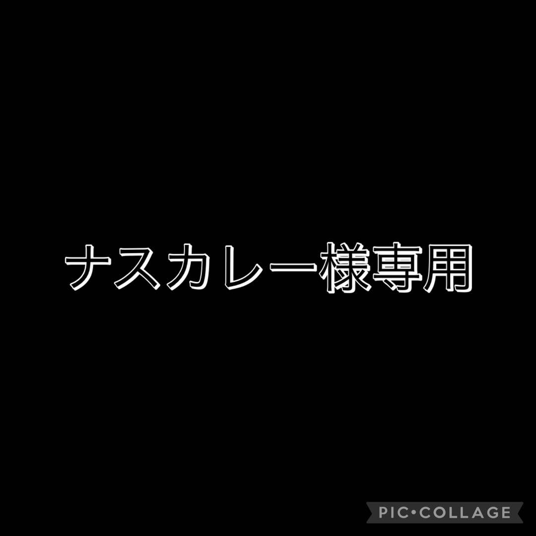 ポケモンフレンダ　ナスカレー