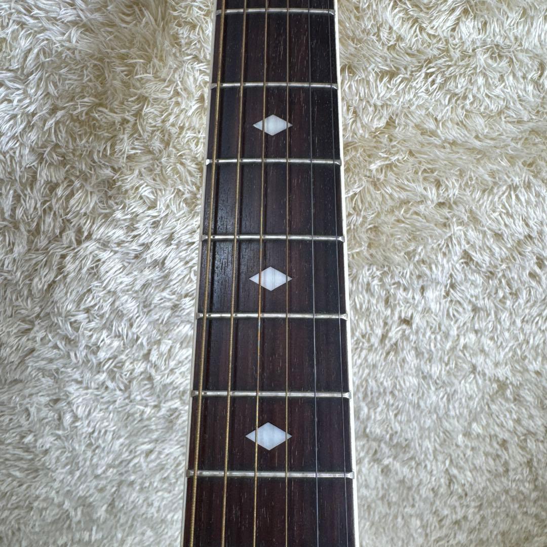 Stafford SE-350 ソフトケースつき