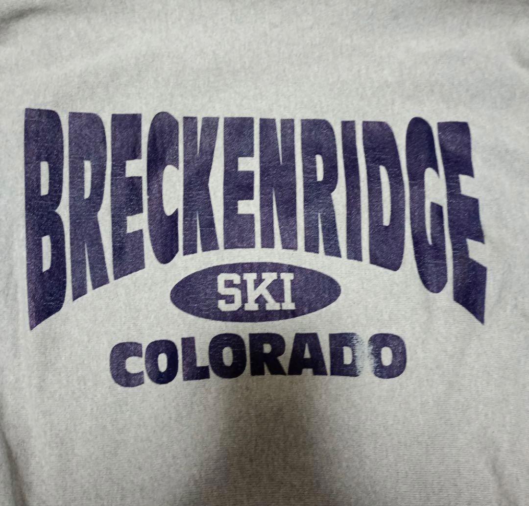 Champion チャンピオン90sリバースウィーブ　グレー　XL 刺繍タグ