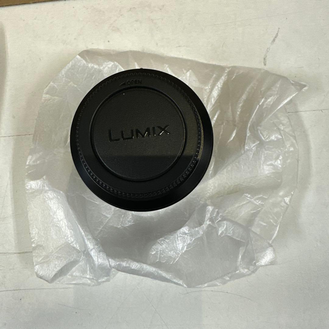 パナソニックLUMIXミラーレスカメラDC-G99H