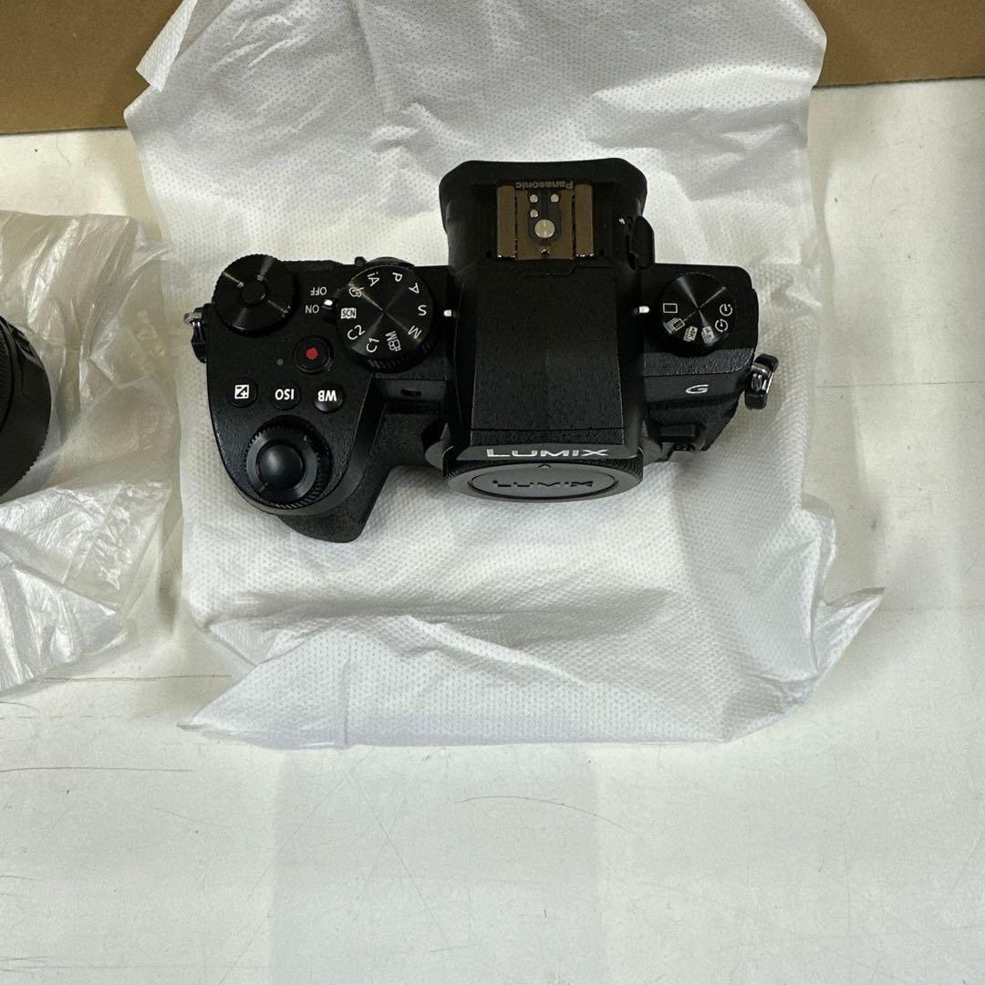パナソニックLUMIXミラーレスカメラDC-G99H