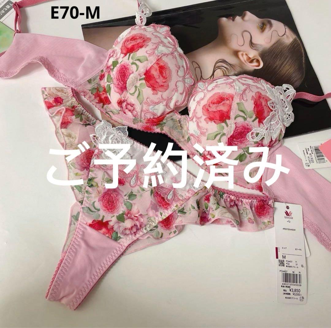 ワコール ルジェ ハッピーFitイギリスの宮殿 37gブラ&ソングセットE70