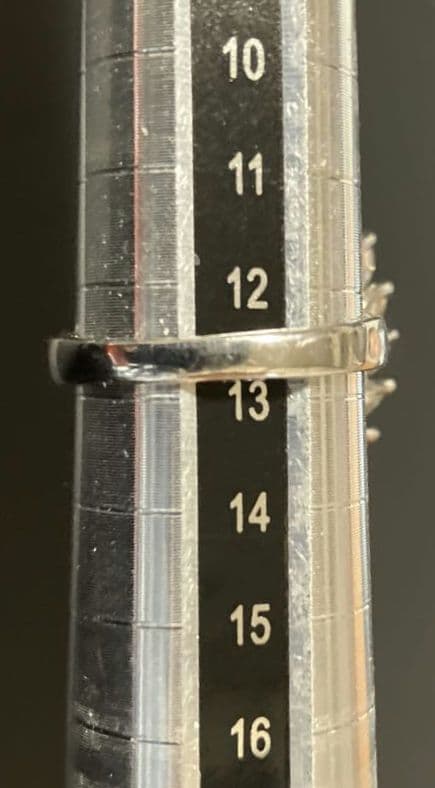 マダガスカル産 ピンクルビー（22.3CT）SV925 リング 指輪