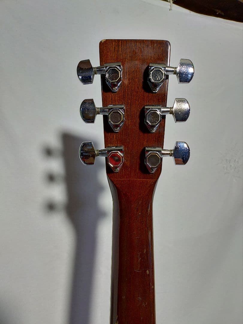 Humming　 Bird 　CUSTOM W-300 　　東海楽器