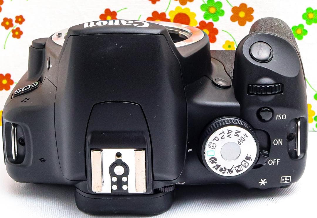 美品 キャノン Canon kiss x3☆ダブルレンズ☆スマホに転送☆一眼レフ