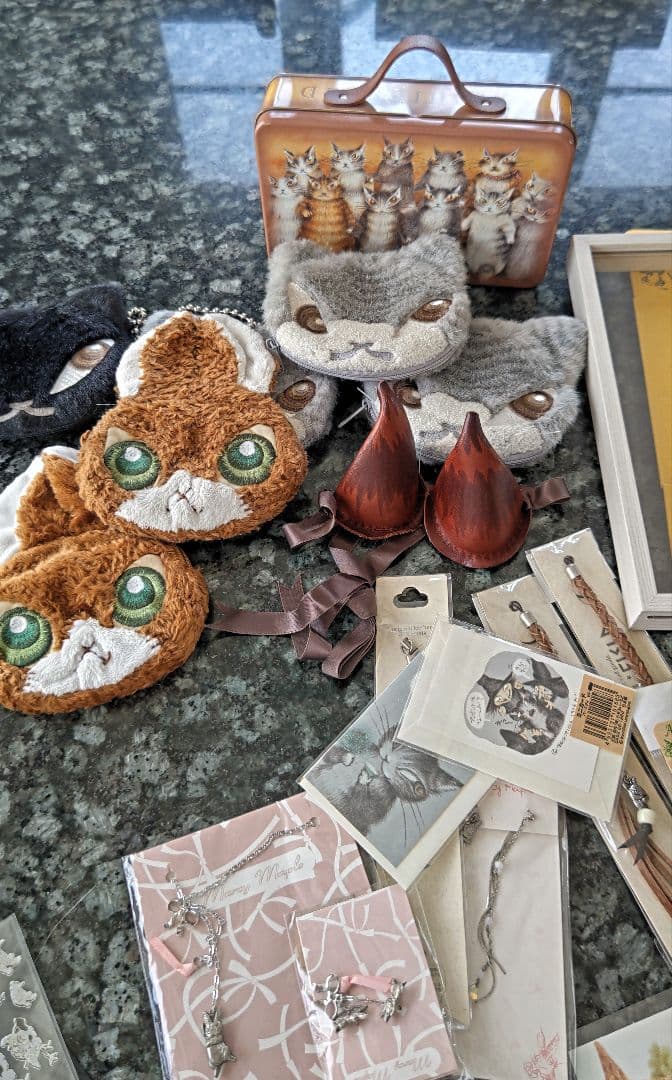 ★猫のダヤン⭐️わちふぃーるど