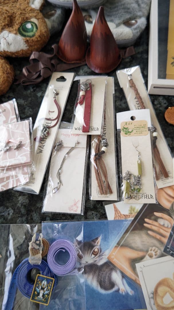 ★猫のダヤン⭐️わちふぃーるど