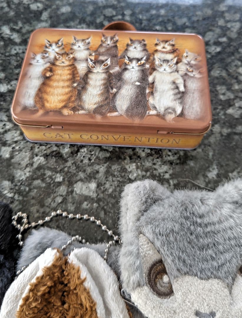 ★猫のダヤン⭐️わちふぃーるど