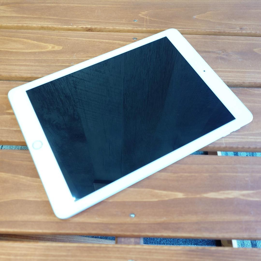 iPad 第5世代 32GB A1823 Wi-Fi+Cellular 本体