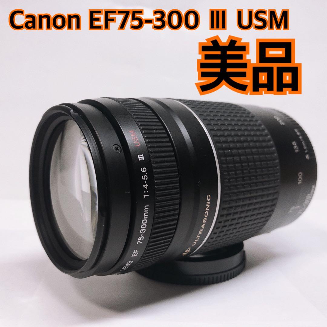 キャノン望遠レンズ Canon EF75-300㎜ 4-5.6 Ⅲ USM