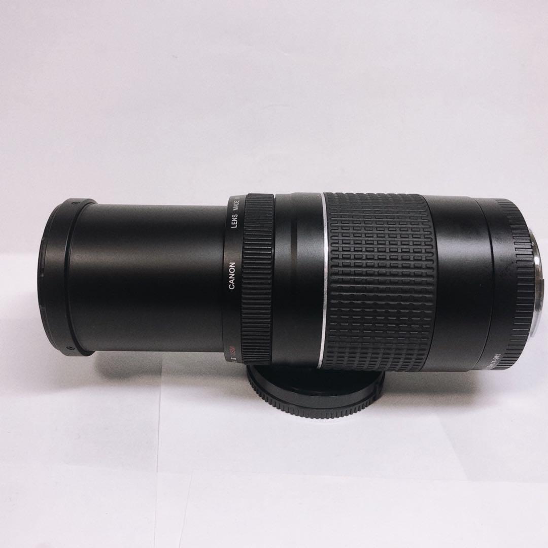 キャノン望遠レンズ Canon EF75-300㎜ 4-5.6 Ⅲ USM