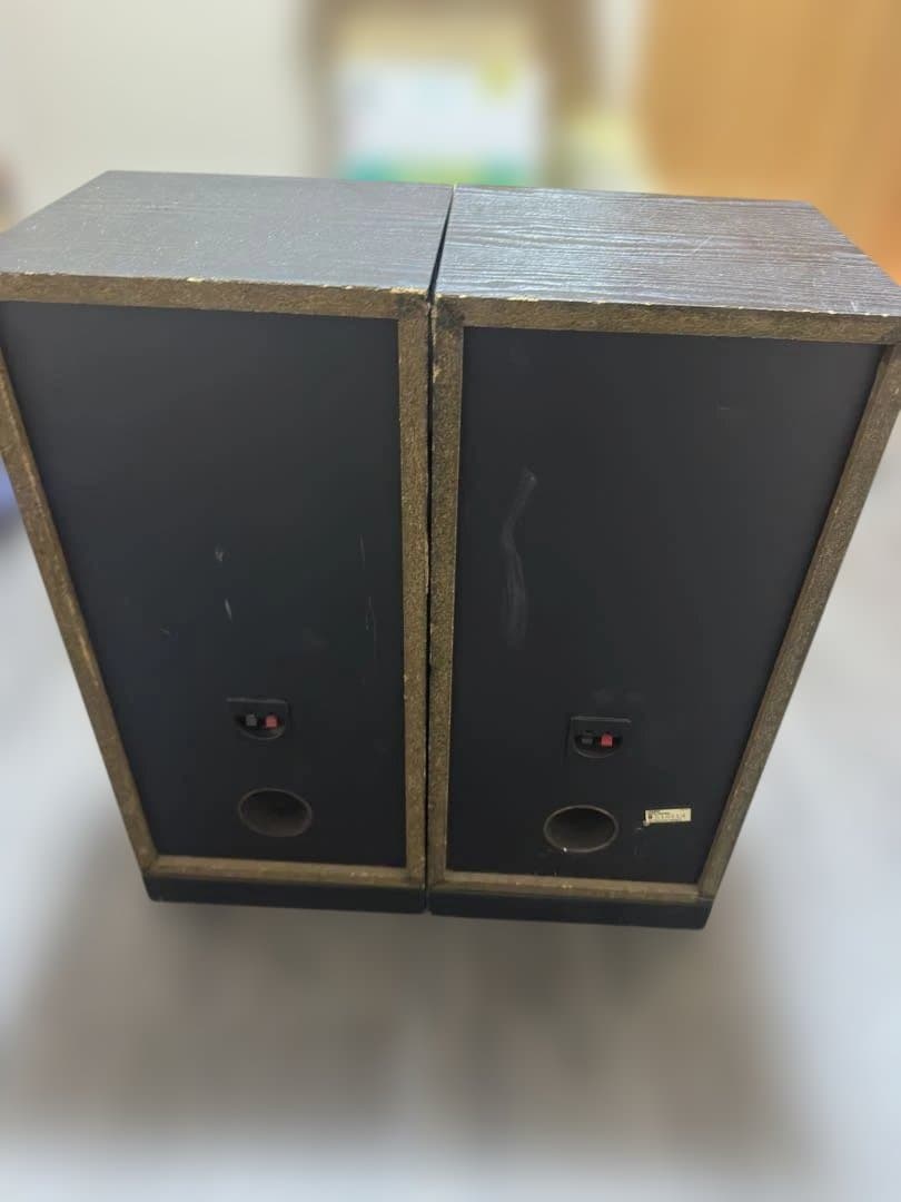 CERWIN-VEGA! 250SE スピーカー