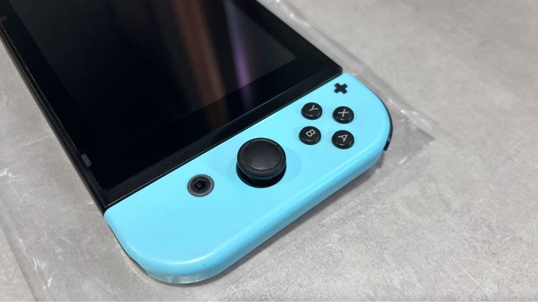 【美品】Nintendo Switch あつまれどうぶつの森セット