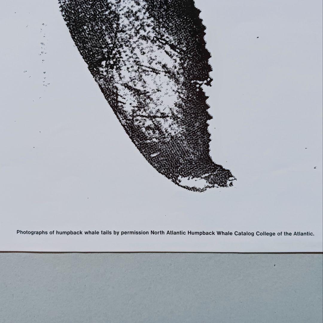 ◻️コム・デ・ギャルソン 　クジラ ブリーチング 特大ポスター