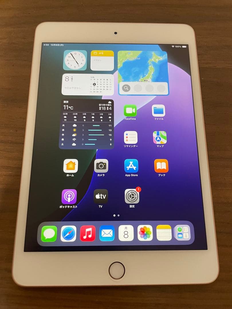 【中古美品】ipad mini 第5世代 64GB ゴールド　Wi-Fiモデル