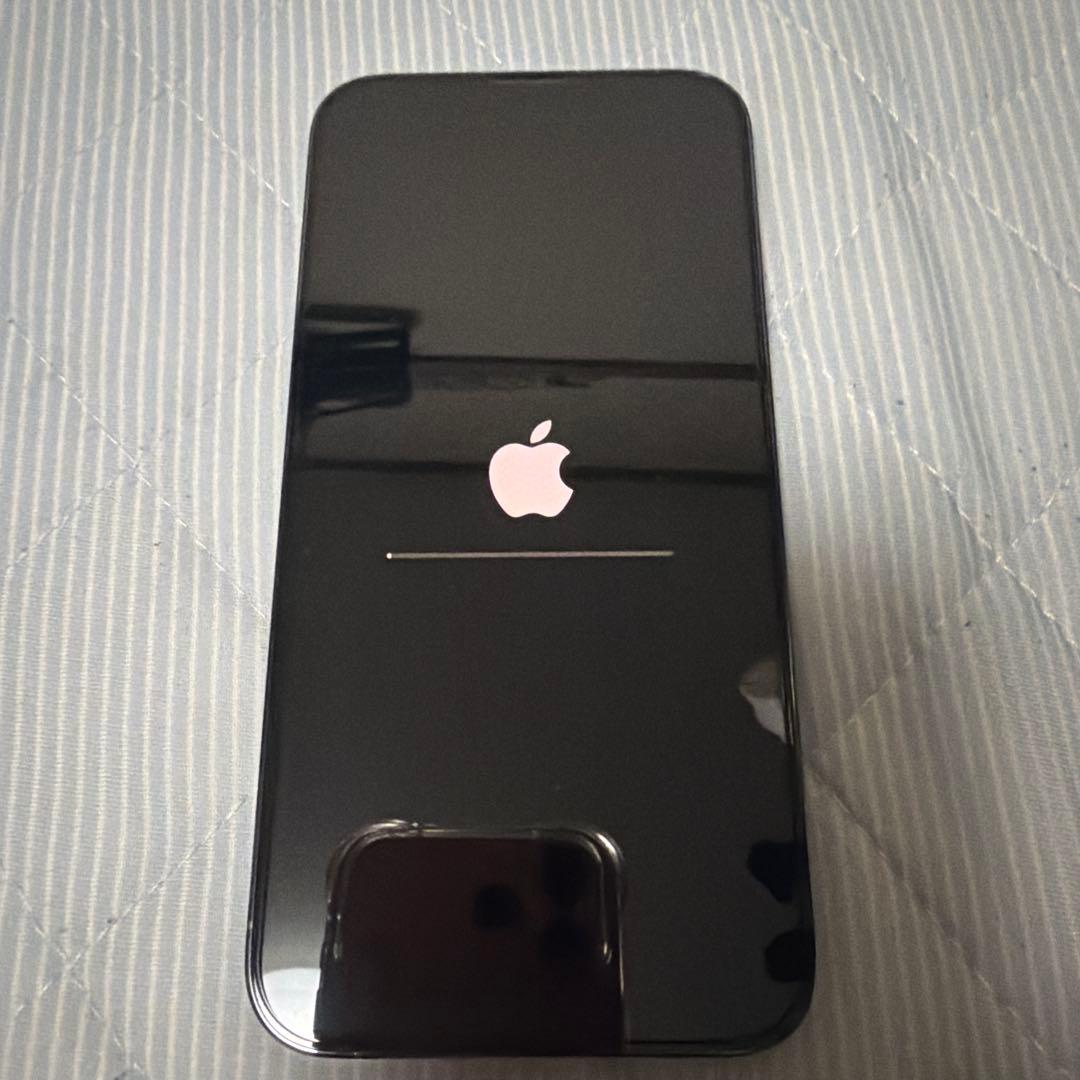 新品 iPhone13 ProMax 256GBシエラブルー SIMフリー