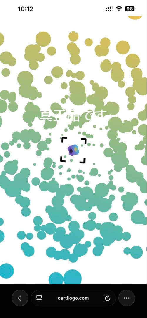 STONE  クルーネック スウェット 黒 Lサイズ