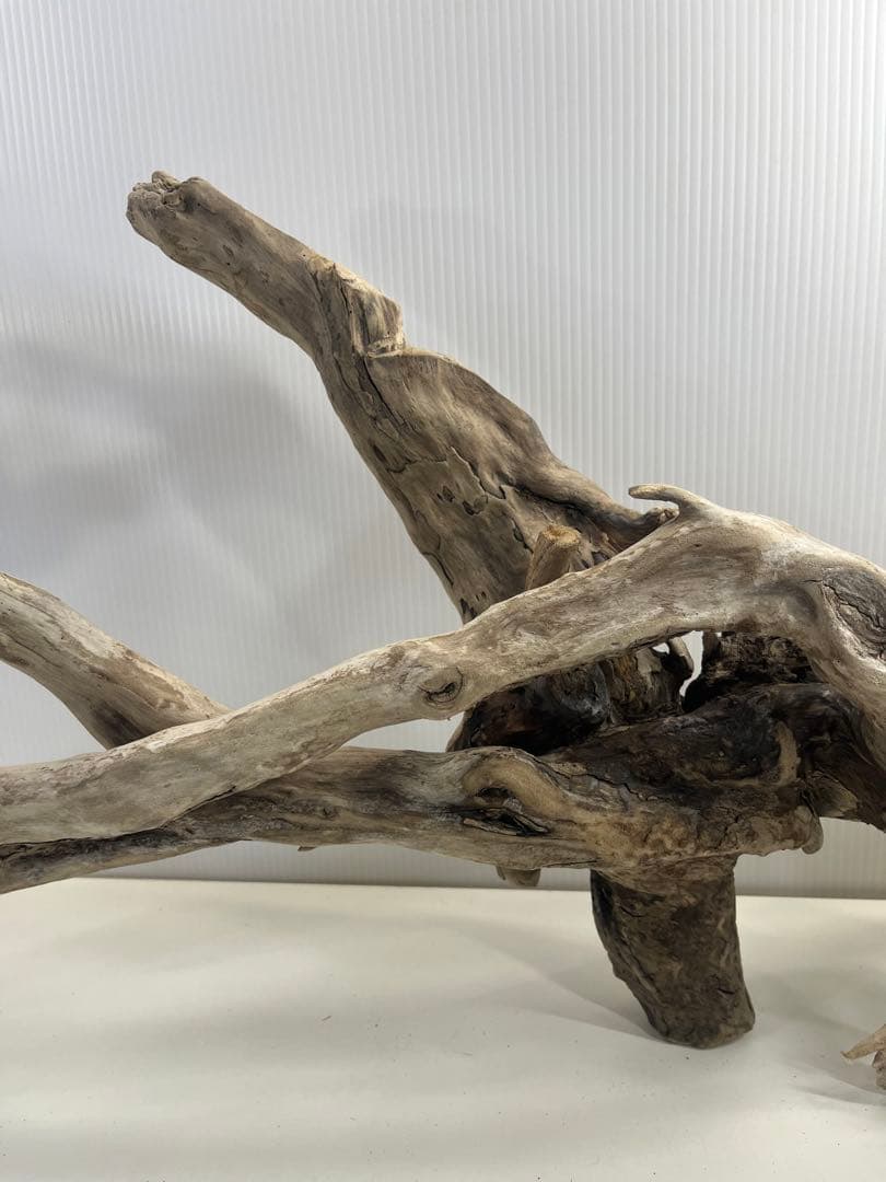 V24特大流木 アク抜き済み流木 爬虫類シェルター 登り木 インテリア 生け花